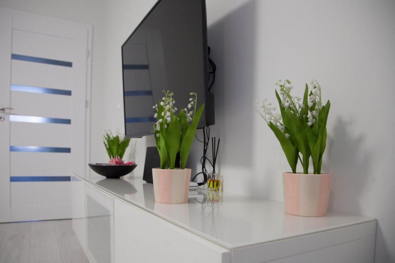 Apartament Wroclaw Borowska Εξωτερικό φωτογραφία
